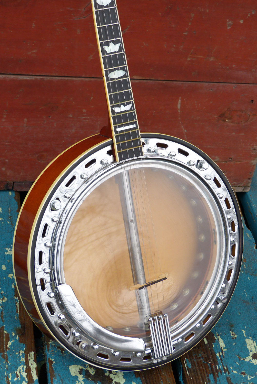 vega banjo serial numbers